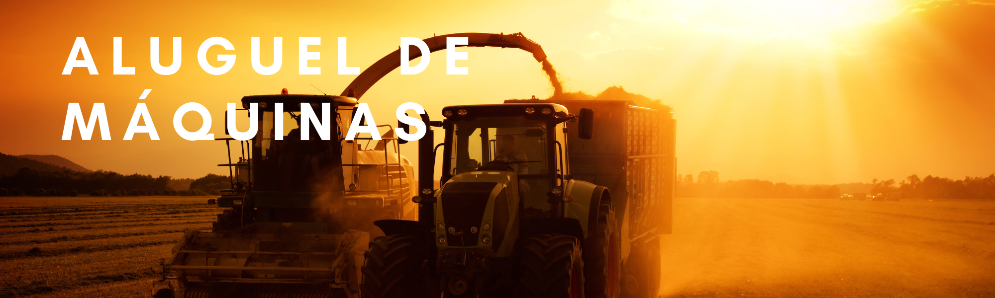 Green White Illustration Free Delivery LinkedIn Article Cover Image (13).png